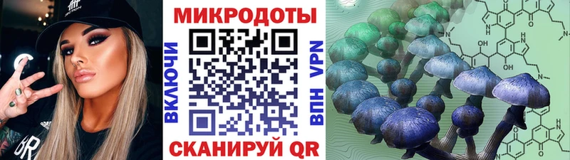 Галлюциногенные грибы MAGIC MUSHROOMS  цены   Колпашево 